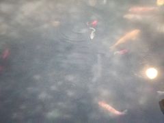 -麦积山温泉