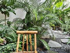 -漫笙舍Manse·咖啡·民宿