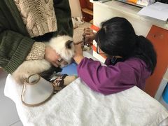 -惠康宠物医院(华能路店)