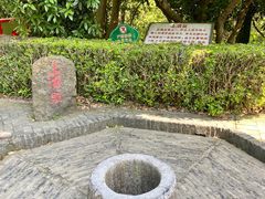 -上海佘山国家森林公园天马山园