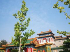 -中国紫檀博物馆