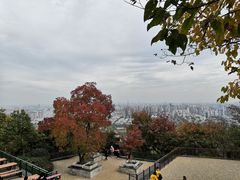 -大蜀山国家森林公园