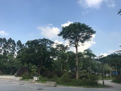 -火炉山森林公园