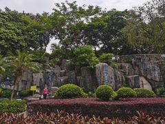 -紫马岭公园