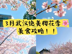 -蛙老爹·蜀香美蛙鱼头(王家湾店)
