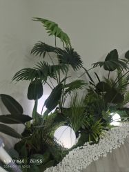 -HEYAN荷妍专业脱毛连锁机构