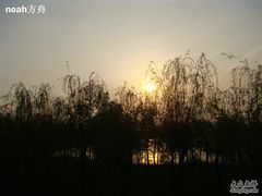-武昌江滩