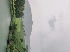 -帐篷客·溪龙茶谷度假酒店