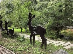 -北京麋鹿生态实验中心