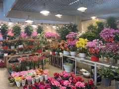 -双季花艺园艺市场(浦东店)