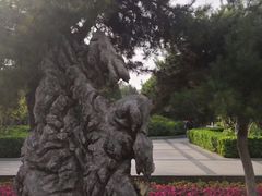 -洛阳市牡丹公园