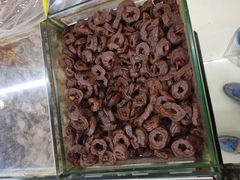 -苏州蜜字牌蜜饯(东环店)