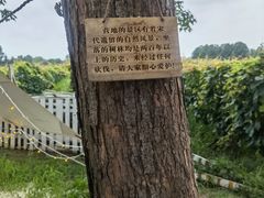 -安德鲁户外烧烤帐篷营地(马泉营店)