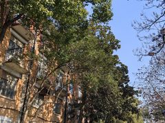 -上海山野camping·户外天幕烧烤·团建拓展营地