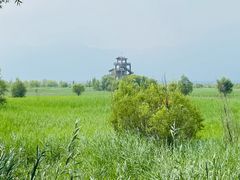 -野鸭湖国家湿地公园