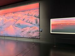 -罗红摄影艺术馆