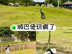 -黄陂区野村谷景区