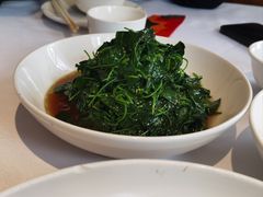五粮液嫩豆苗-玫瑰厅上海菜(兴国路店)