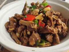 -龙小海荆沙鸽子店(瑞安街店)