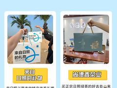 -日照海滨国家森林公园