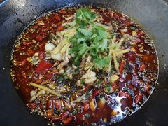 -靓蛙馆