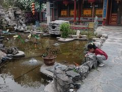 -白家大院·王府宫廷菜(苏州街店)