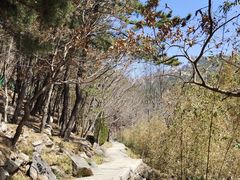 -崂山巨峰游览区