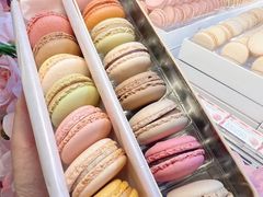 -Pierre Marcolini(德基广场店)