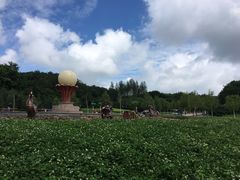 -哈尔滨北方森林动物园
