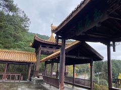 -铁山坪森林公园