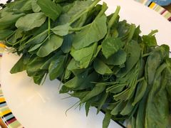 碗豆尖-大理老字号·舟渔的鱼野生菌海景餐厅(双廊店)
