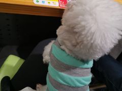 -鹤之乡·齐齐哈尔烤肉·非遗(秋涛路店)