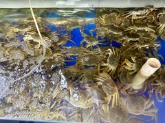 -阳澄湖大闸蟹·琼灵阁牌品牌连锁(吴中总店)