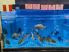 -渔文乐·海鲜大排档(壹品总店)