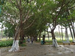 -万绿园