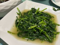 -西塘人家•黑金冠本地好店