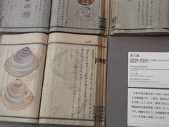 -东京国立博物馆