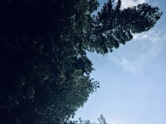 -宁波浙东大竹海景区