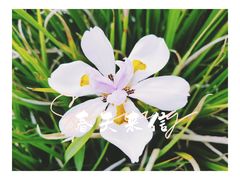 -秀水公园