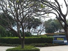 -蛇口希尔顿南海酒店·随轩中餐厅·粤菜