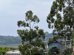 -观清澜疗愈民宿(龙泉山风景区店)