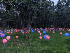 -茅山东方盐湖城景区