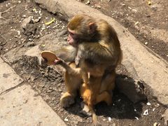 -黔灵山公园-南门售票处