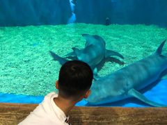 -华夏文旅海洋公园