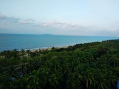 -三亚湾海居铂尔曼度假酒店