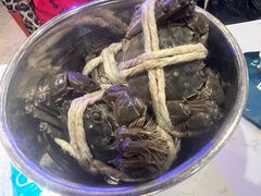 -半岛听涛蒸汽海鲜自助(K11店)