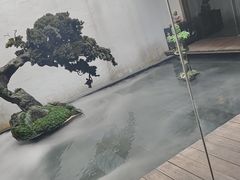 -觀芷隐轩