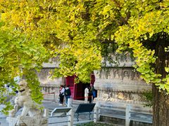 -北京石刻艺术博物馆(五塔寺)