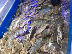 -澜悦港海鲜体验主题餐厅