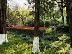 -苏州河梦清园环保主题公园